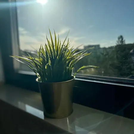 Lux Ivancevic Apartment Zlatibor
