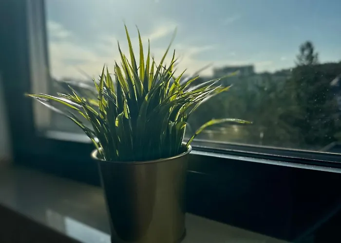 Lux Ivancevic Appartement Zlatibor